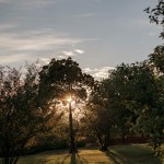 Kartanon puutarha auringonlaskussa Auringonlasku puutarhassa